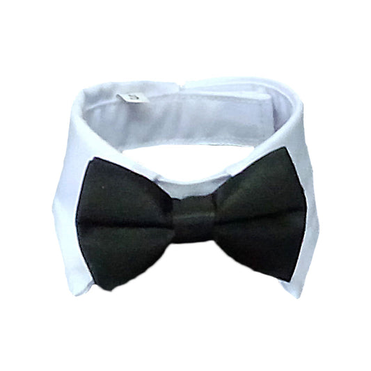 Luxury Frenchie Bow Tie 🐶🎩