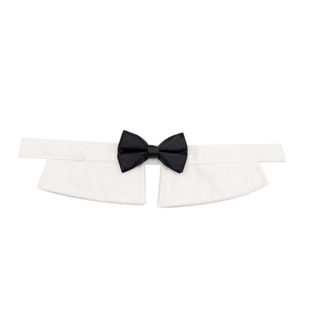 Luxury Frenchie Bow Tie 🐶🎩