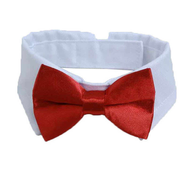 Luxury Frenchie Bow Tie 🐶🎩